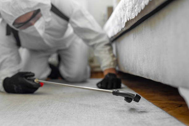 Professional Bed Bug Control technician working in Marion County County, IN
